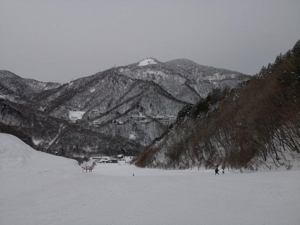 日本平汤滑雪场景点图片