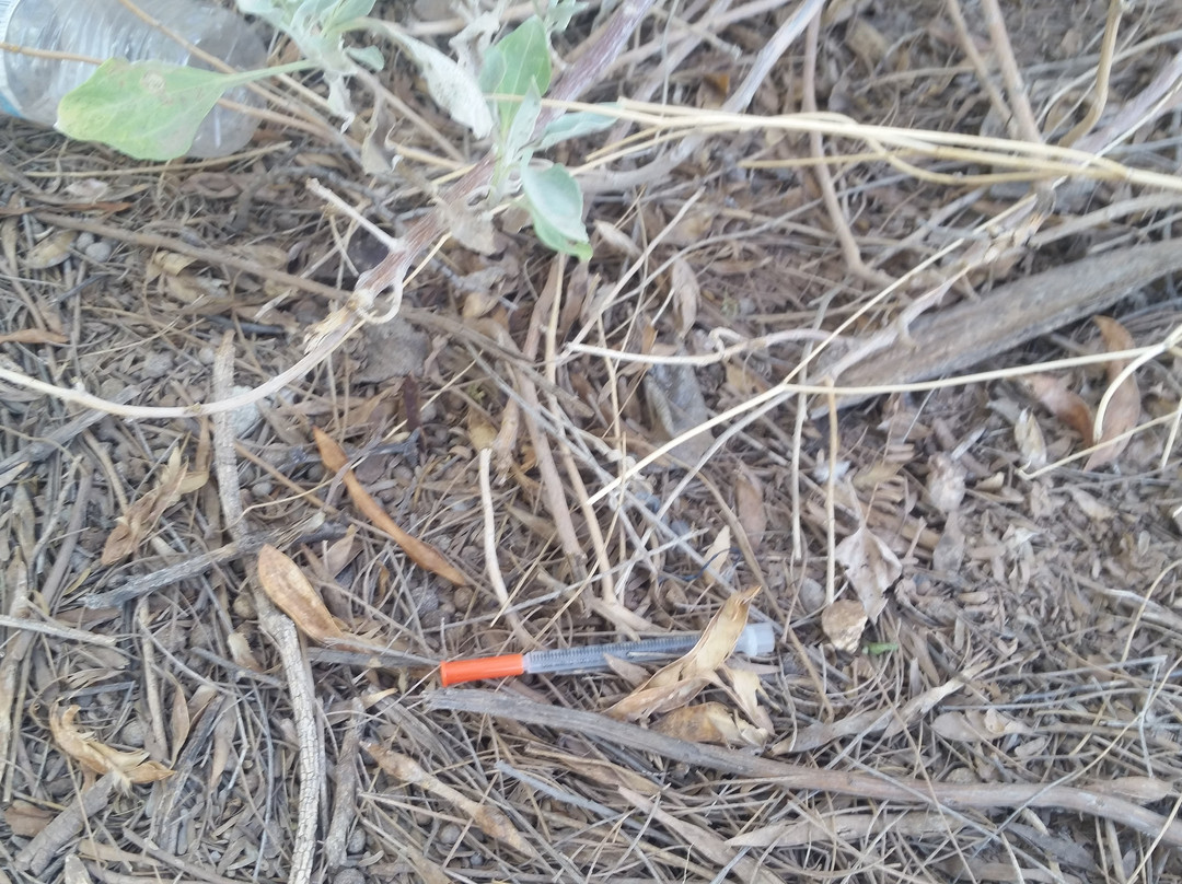 Papago Park-坦佩必去景点