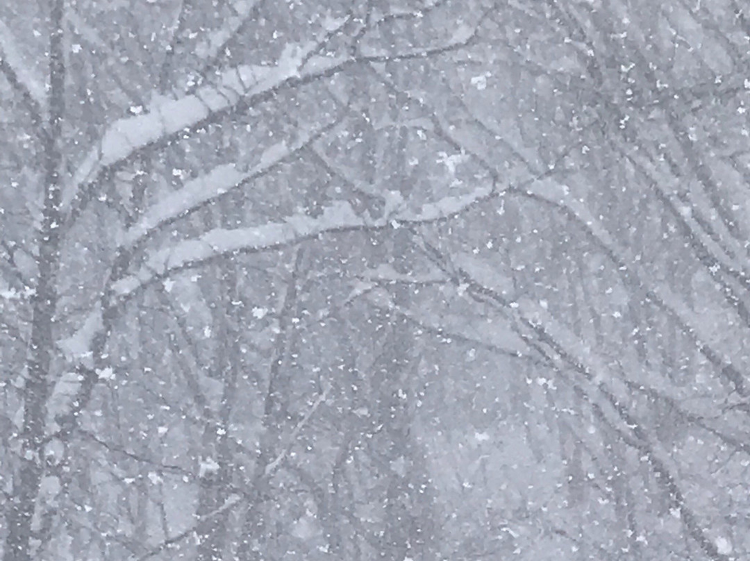 Minakami Kogen Ski Resort景点图片