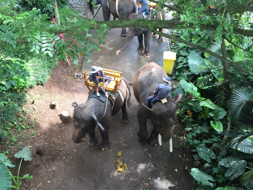 Bali Rent Car With Driver-库塔必去景点
