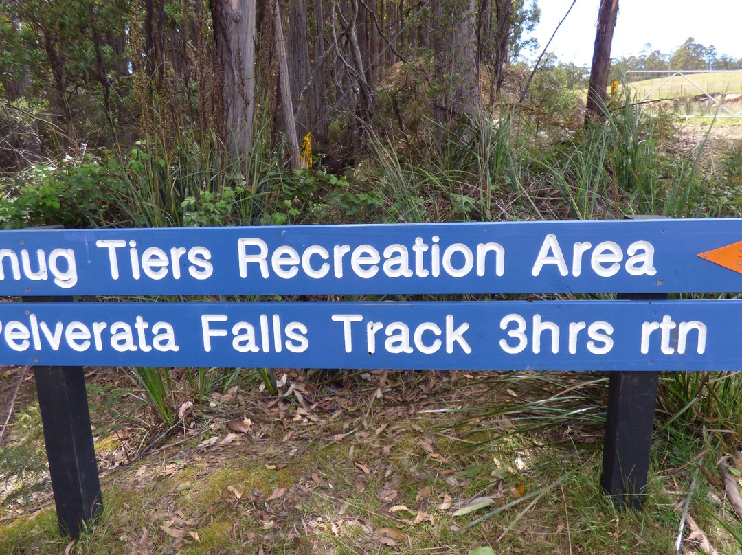 Pelverata Falls Track景点图片
