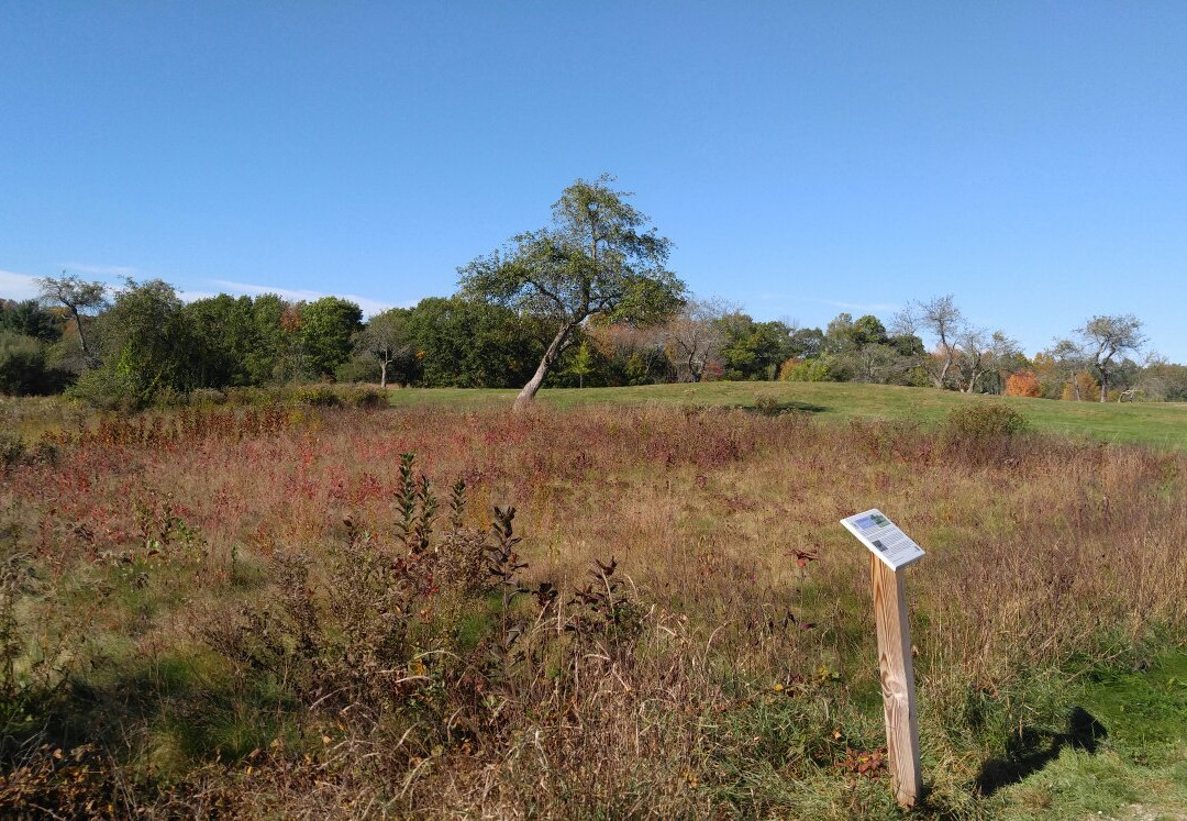 Wagon Hill Farm景点图片