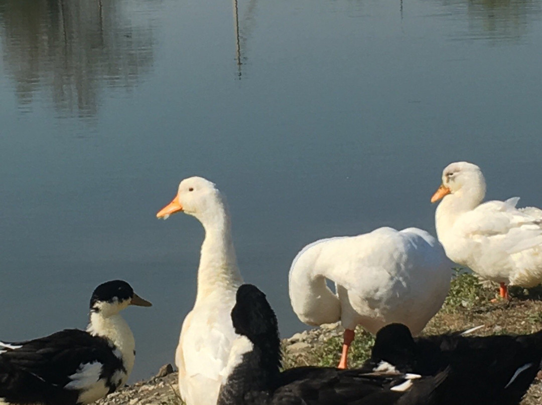 Krasnooktyabrskiy旅游攻略图片