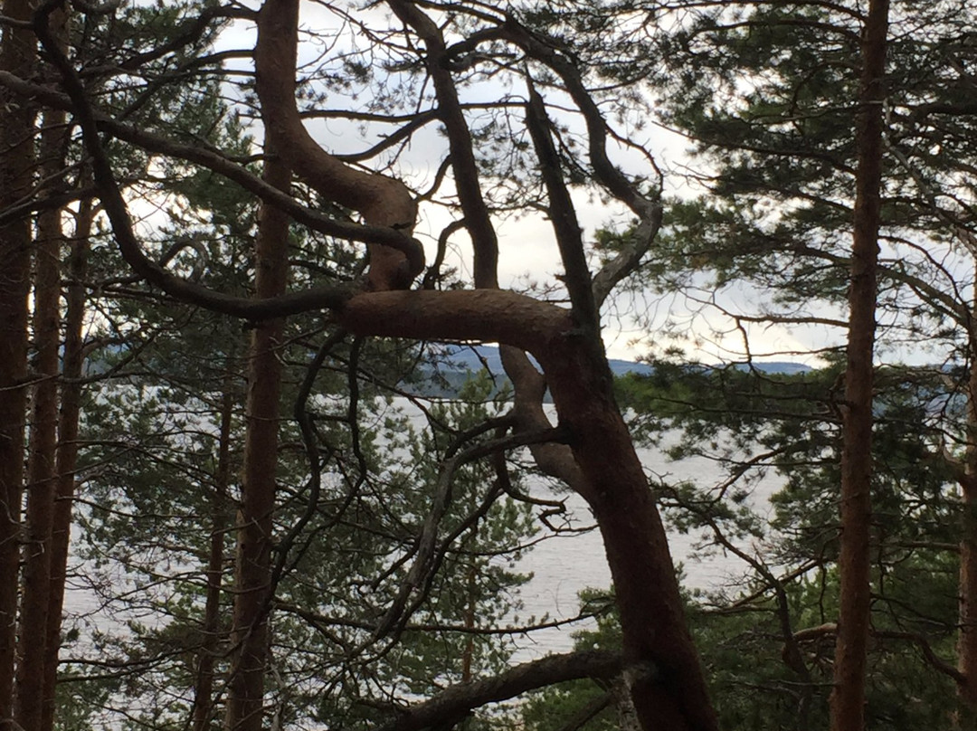 Hiukka-Sotkamo必去景点