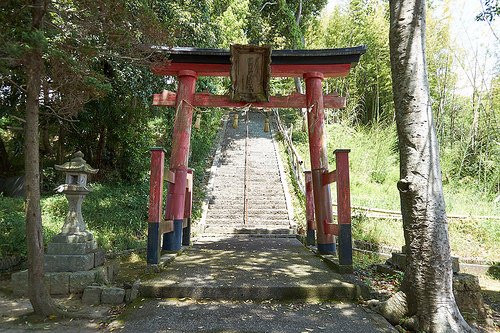 Okanoue Shrine-板野町必去景点