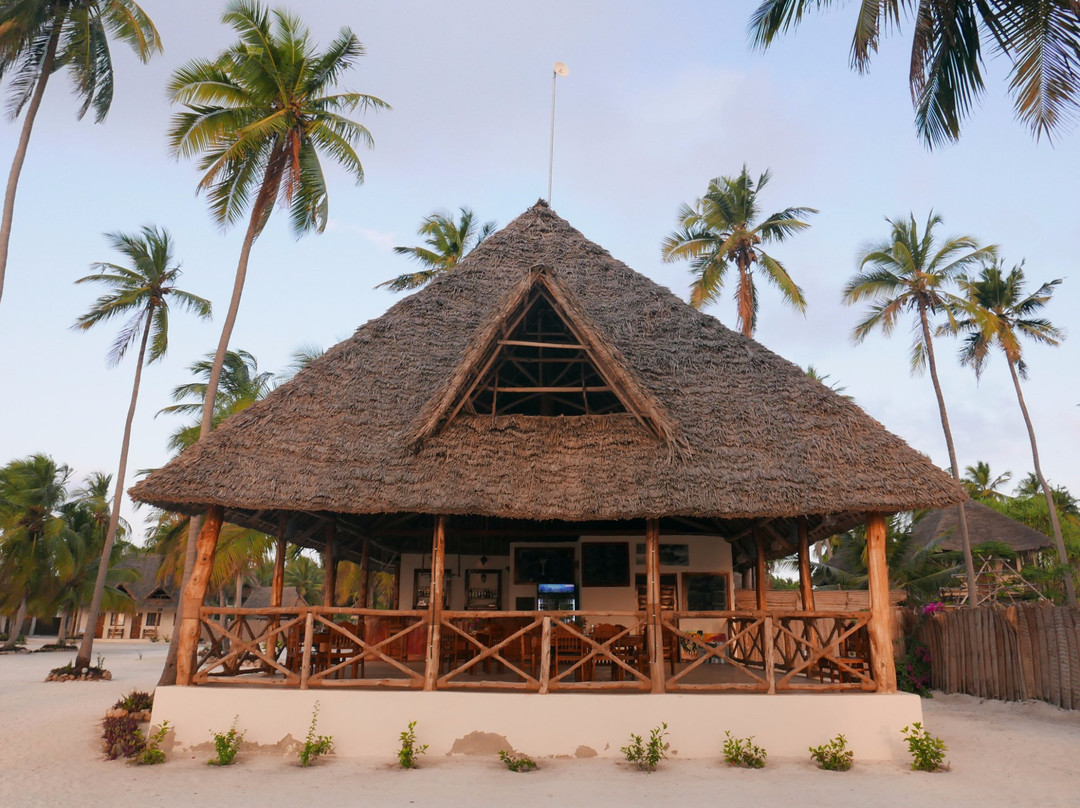 Chwaka酒店住宿-Emma Bay Beach House