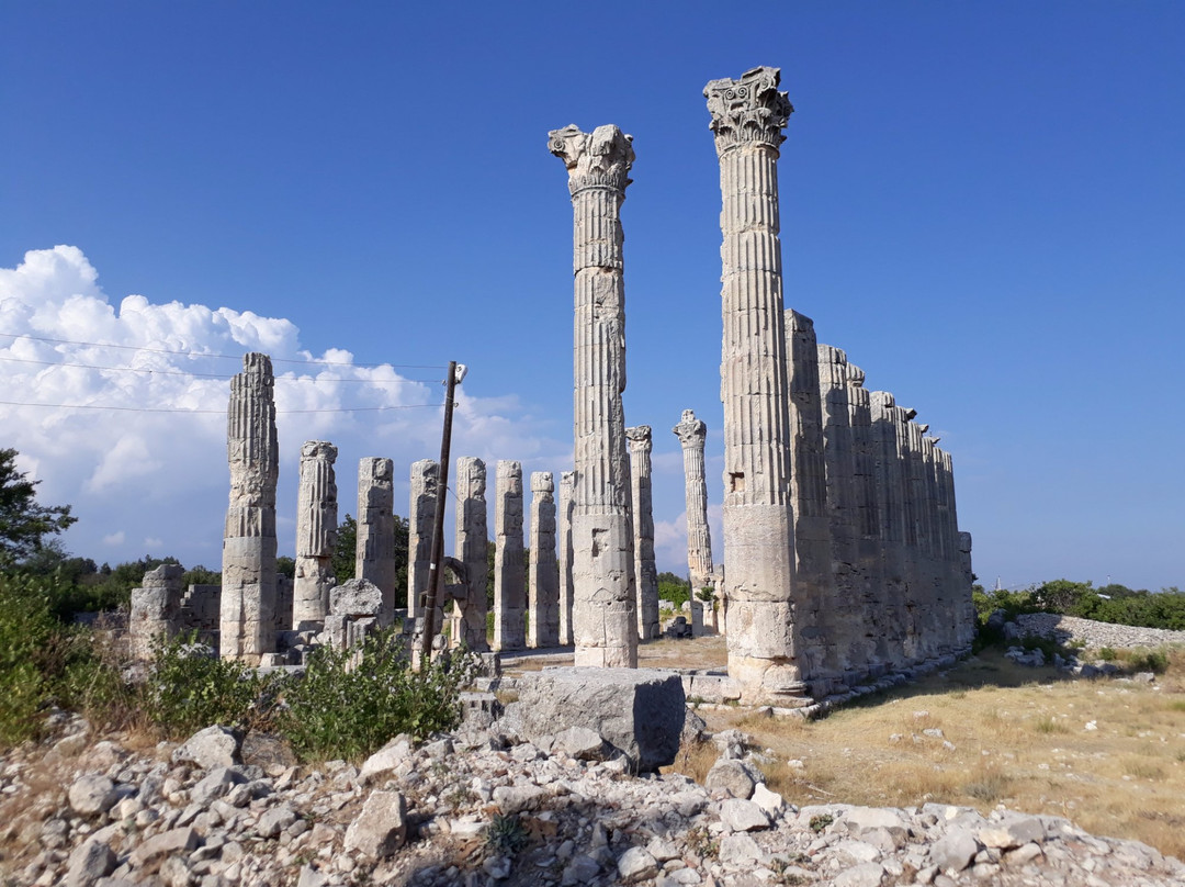 Ancient city of Diocaesarea-Olba景点图片