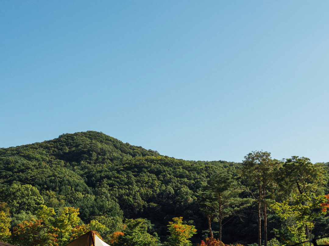 Yonin Natural Recreation Forest-龙仁市必去景点