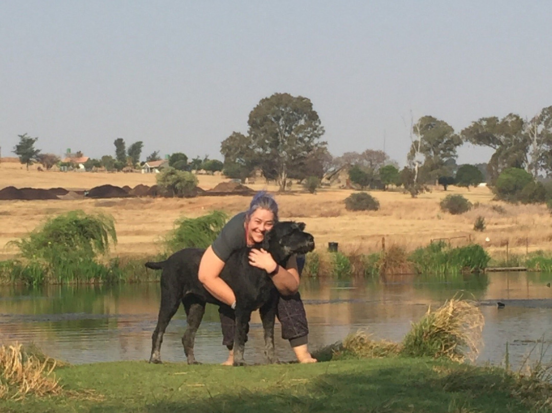 Walkhaven Dog Park-约翰内斯堡必去景点