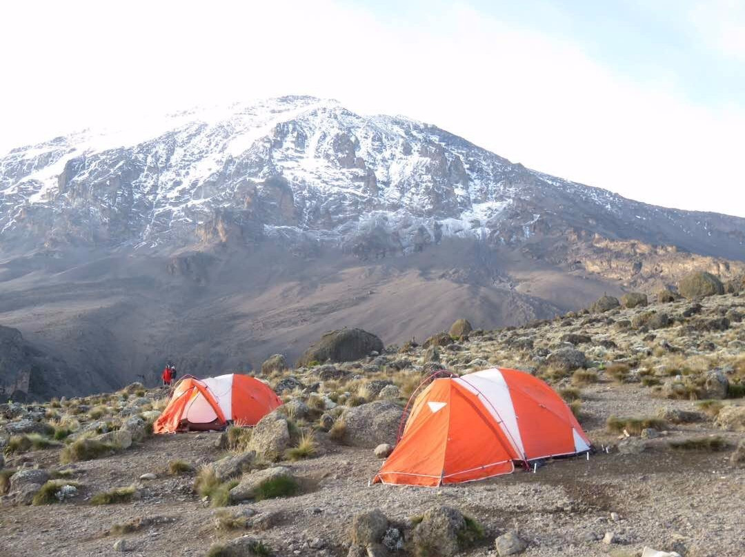Jambo Kilimanjaro Voyage-莫西必去景点