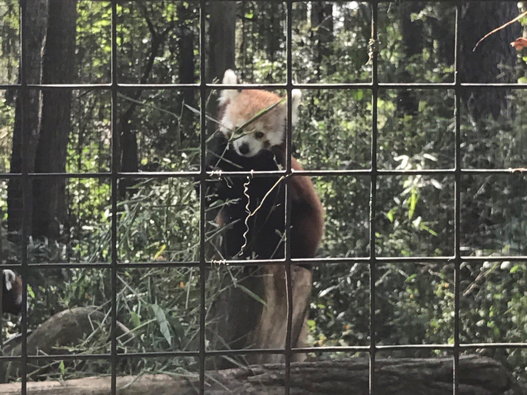 Trevor-Lovejoy Zoo-Millbrook必去景点