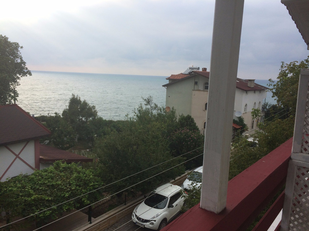 Danube Surf House and Academy