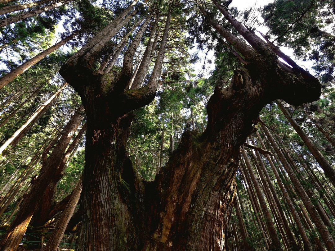 21 Seikinomori Park-关市必去景点