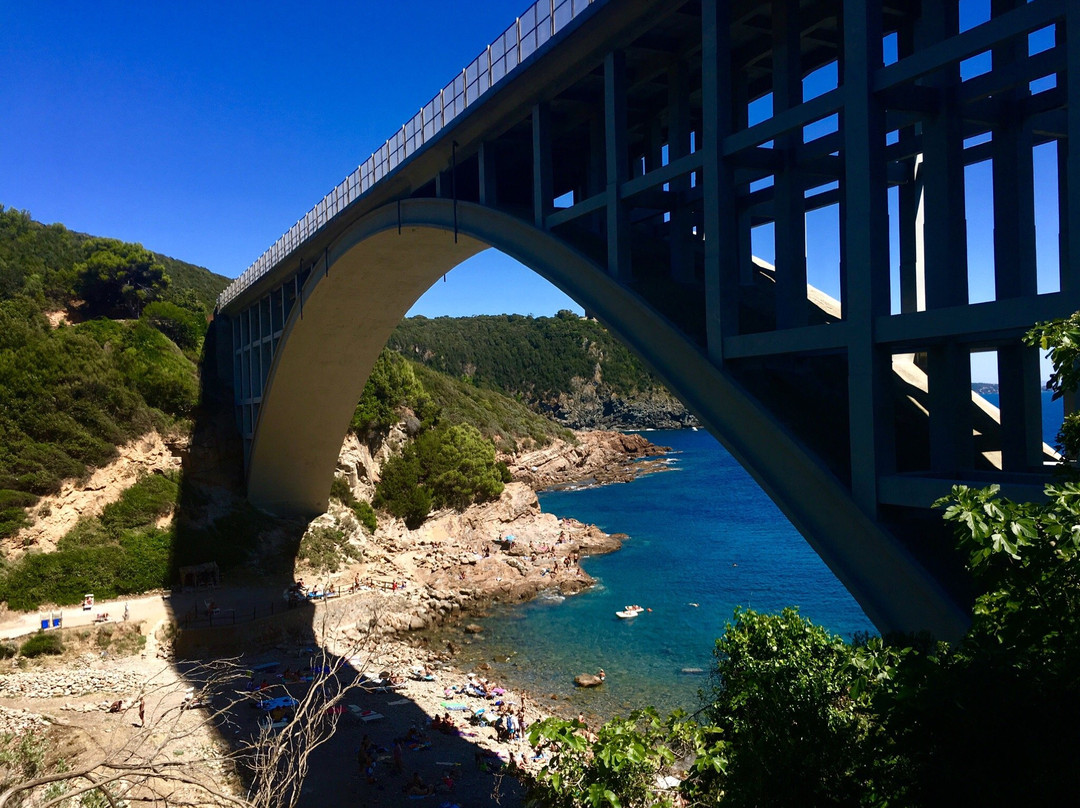 Spiaggia di Calignaia景点图片