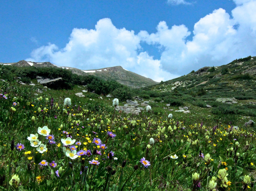 Linkins Lake Trail-阿斯蓬必去景点