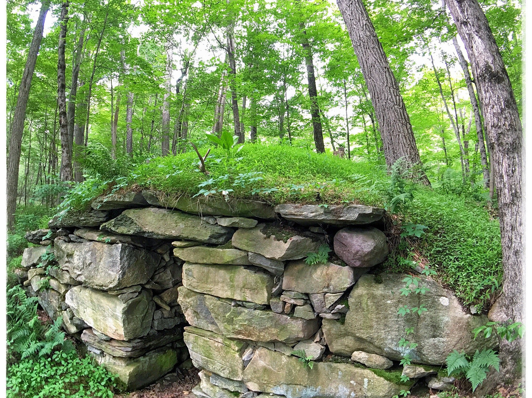 Nimham Mountain State Forest景点图片