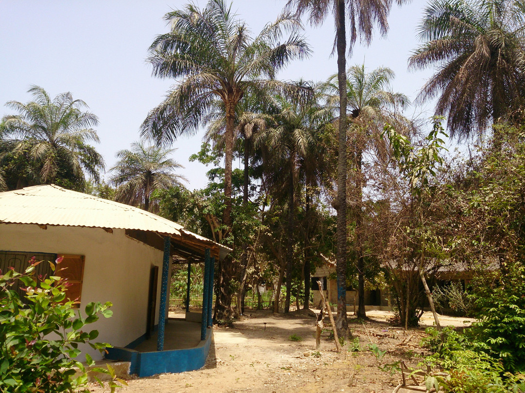 Campement Napanap