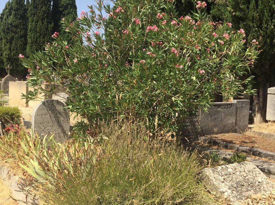 Albert Camus Grave-Lourmarin必去景点