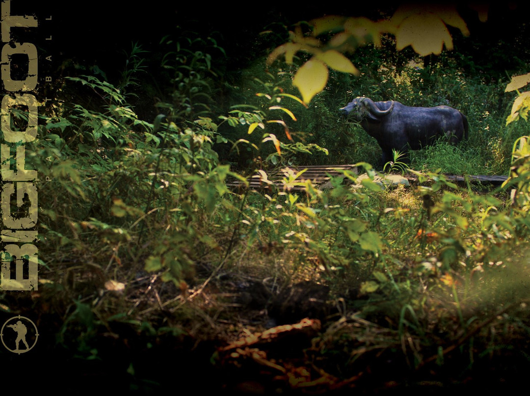 Bigfoot Paintball  -St-Alphonse-Rodriguez必去景点