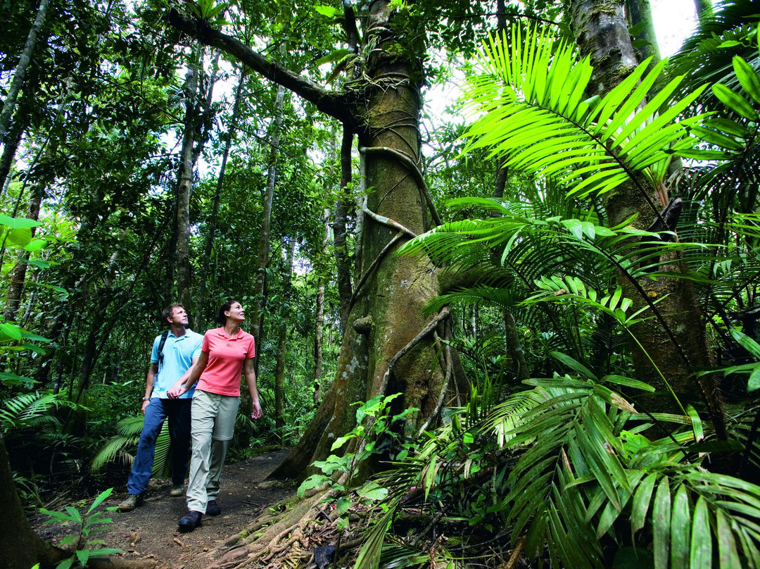 Active Tropics Explorer - Day Tours景点图片