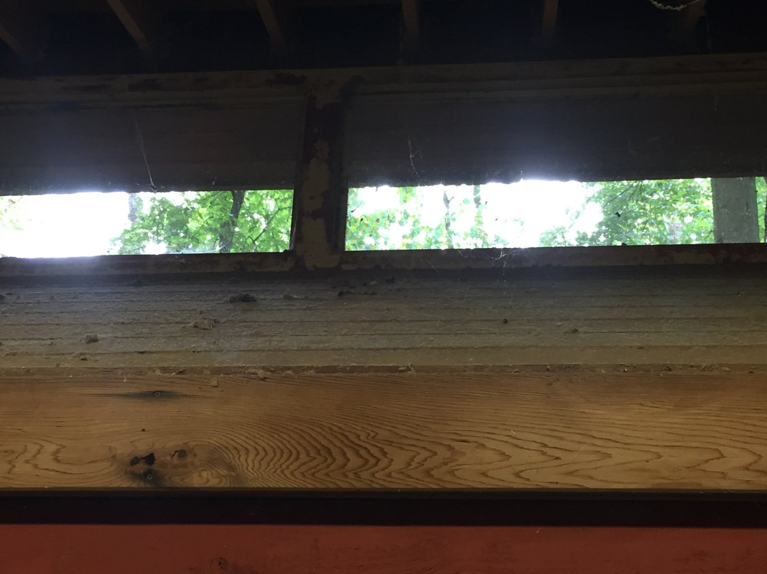 Pohick Bay Regional Park景点图片