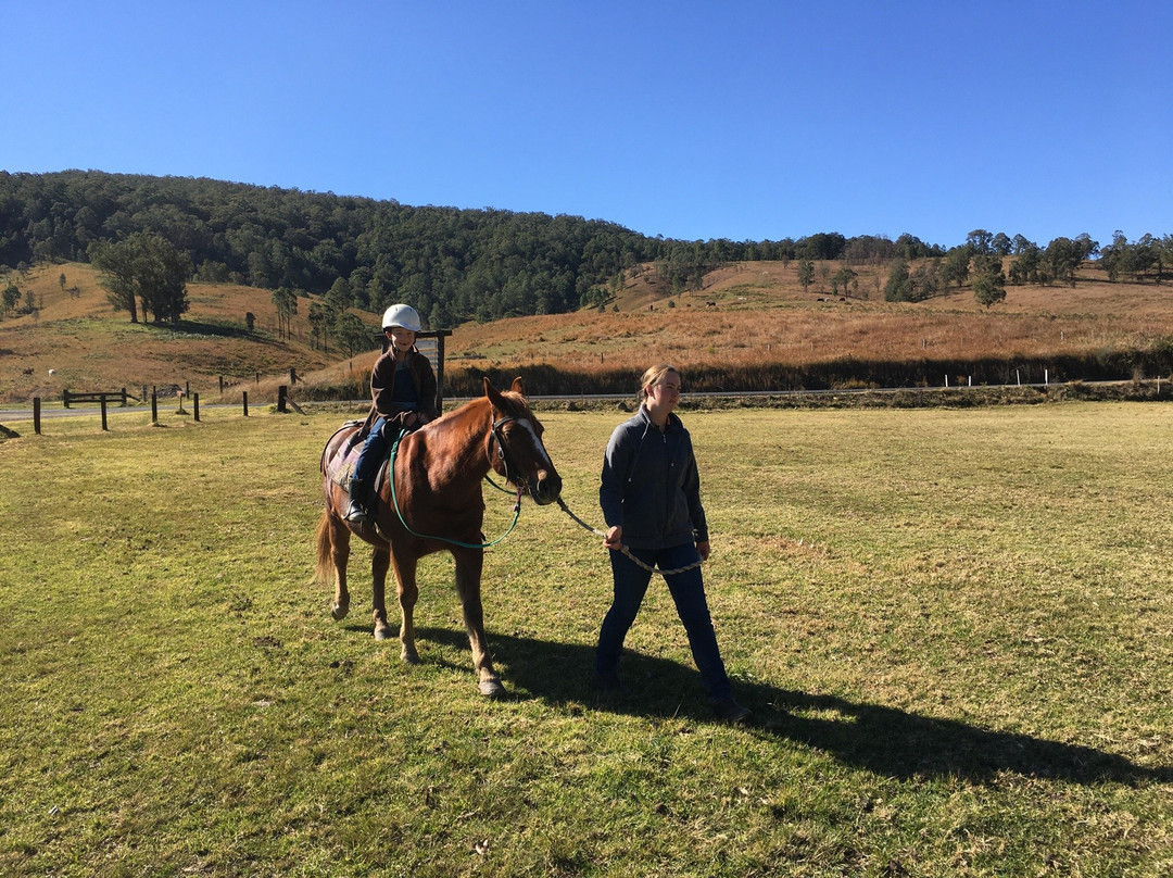Camp Cobark-Cobark必去景点
