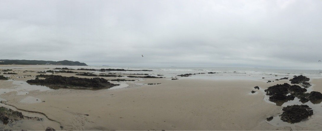 Batgae Beach-泰安郡必去景点