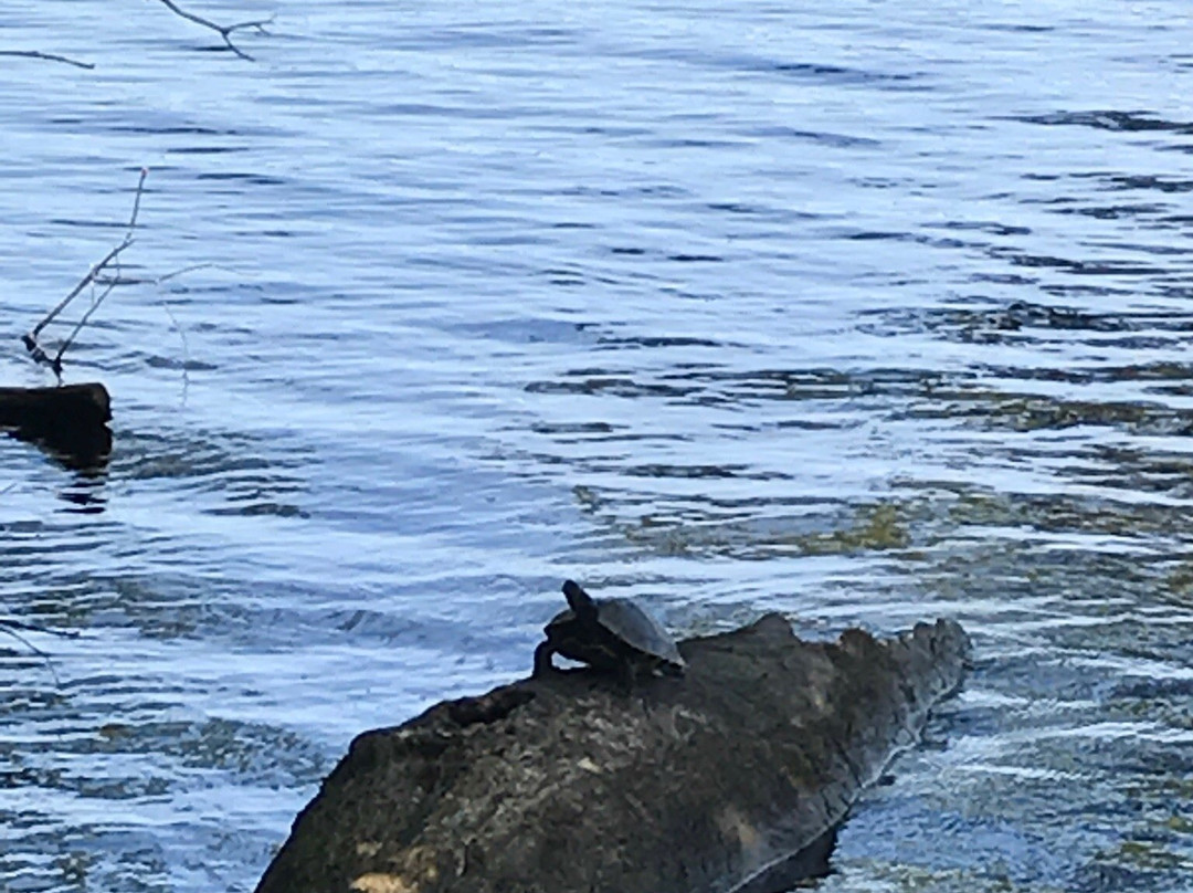 Pocosin Lakes National Wildlife Refuge-Columbia必去景点