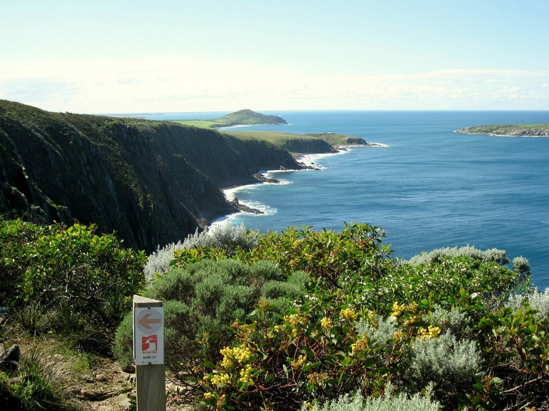 Walks With Nature-维克多港必去景点