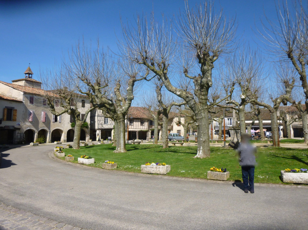 La bastide de Fourcès景点图片