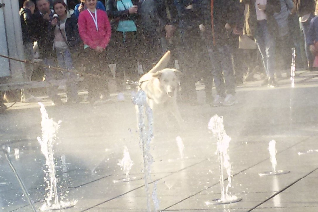 Fountain in Rybnik-Rybnik必去景点