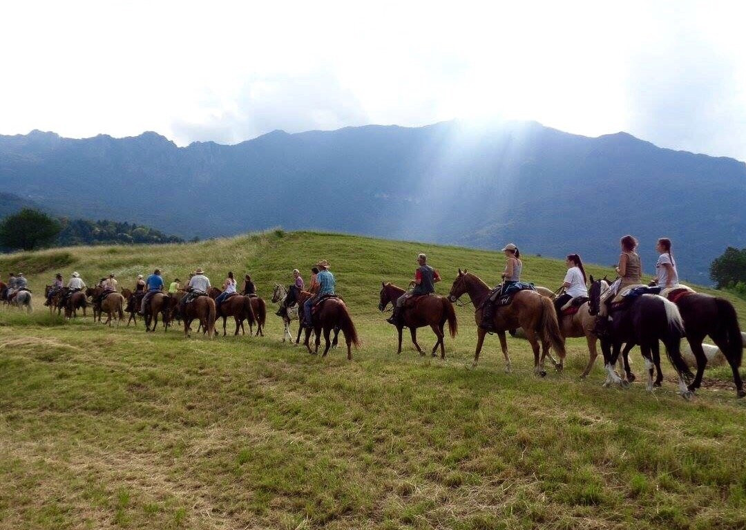 Centro Equestre Il Salice景点图片