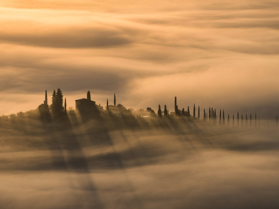 Light and Land景点图片