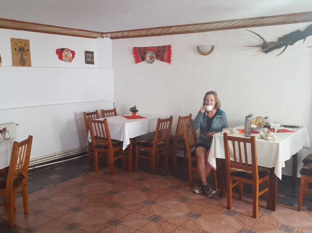 Pensionea Daniela Clinciu主图