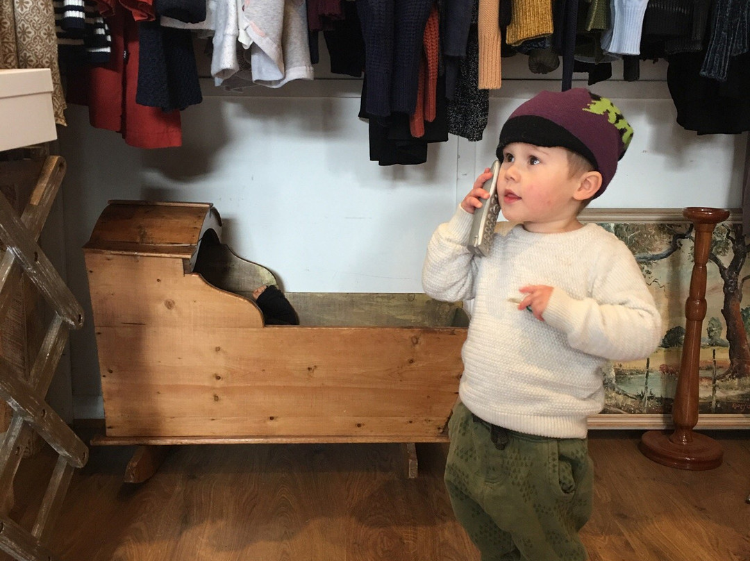 Quirky and The Jakster Sassafras-Sassafras必去景点