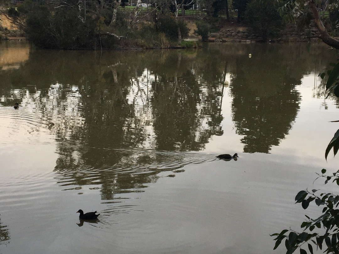 Surrey Park-博士山必去景点