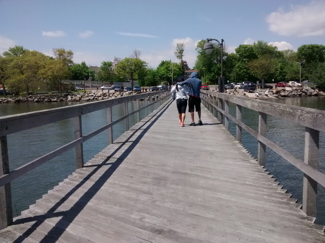 Bayside Marina-Bayside必去景点