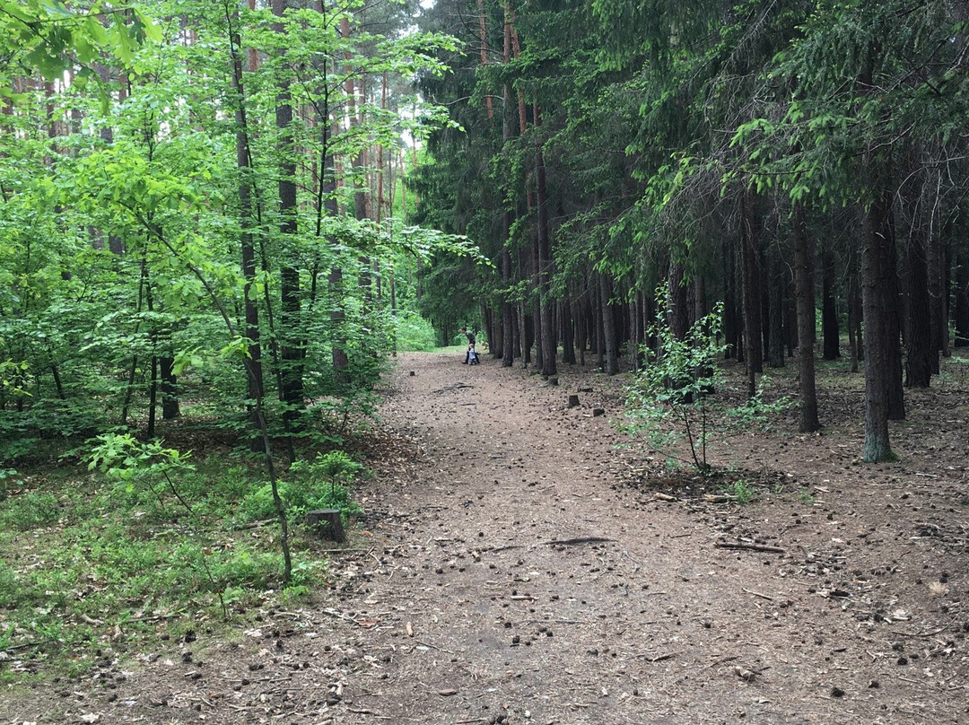 Walderlebniszentrum Tennenlohe景点图片