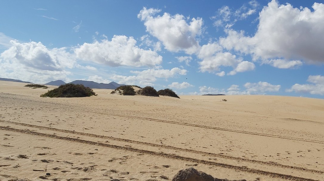 Playa Larga景点图片