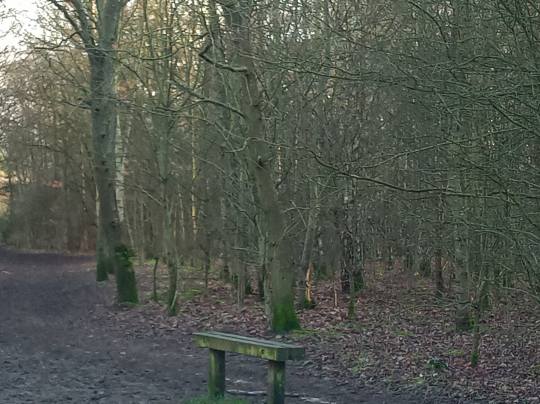 Orchid Wood-Breaston必去景点