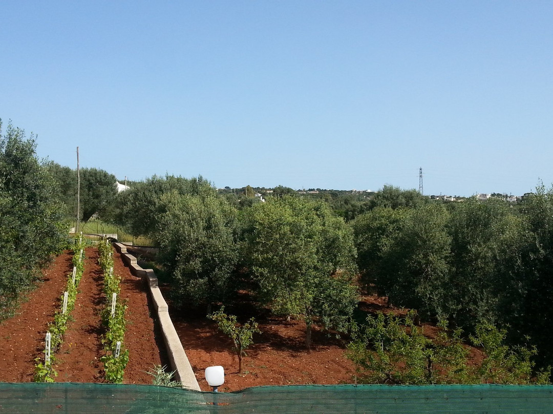 Piccolo Hotel Villa Rosa主图