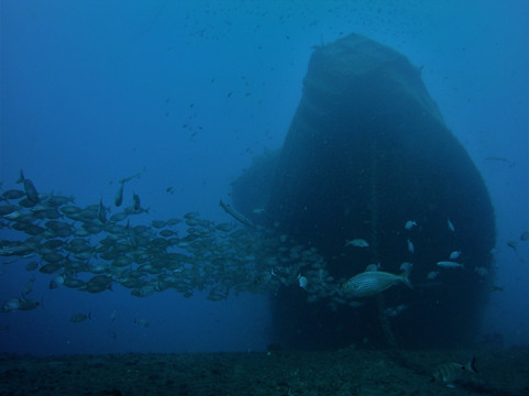 Las Americas Divers-Abades必去景点