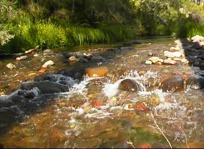 Bindaree Falls-Mount Buller必去景点
