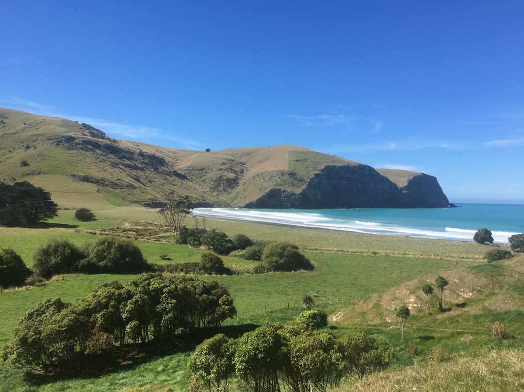 Akaroa Surf Safaris景点图片