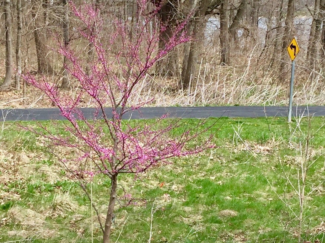 Lilly Nature Center-西拉斐特必去景点
