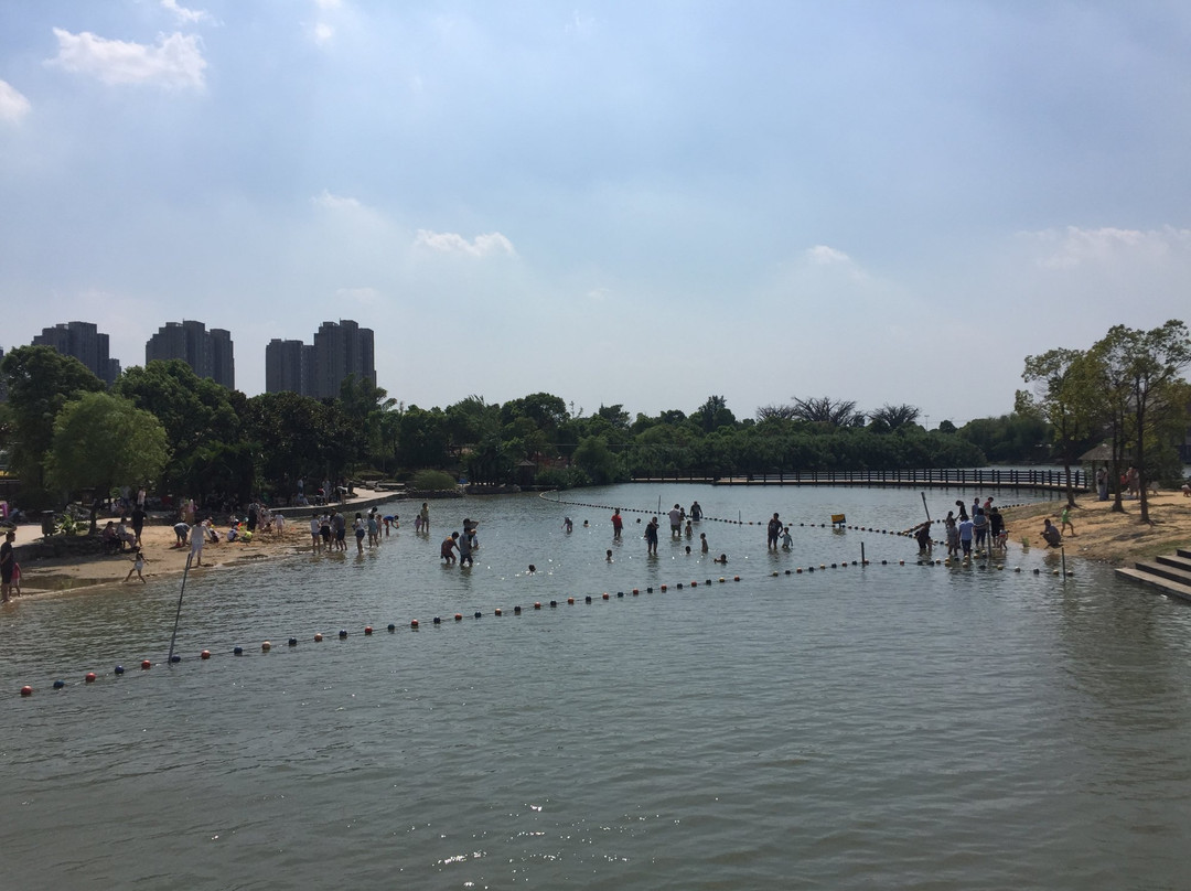 金仓湖公园-太仓市必去景点