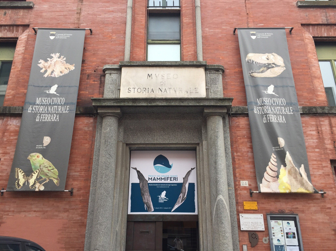 Museo Civico di Storia Naturale-费拉拉必去景点