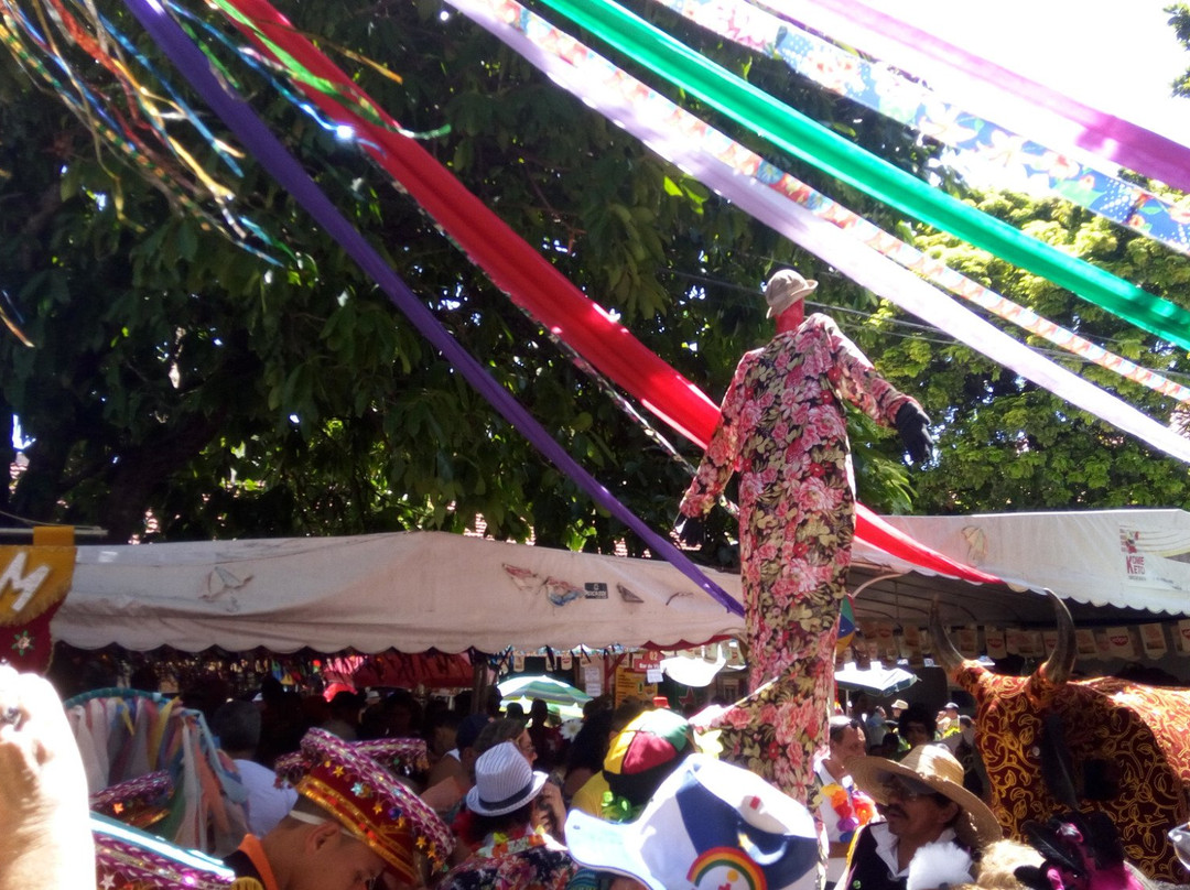 Mercado Da Boa Vista-累西腓必去景点