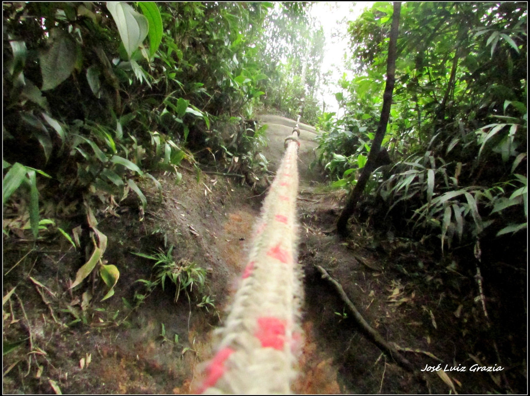 Pedra do Elefante-特雷索波利斯必去景点
