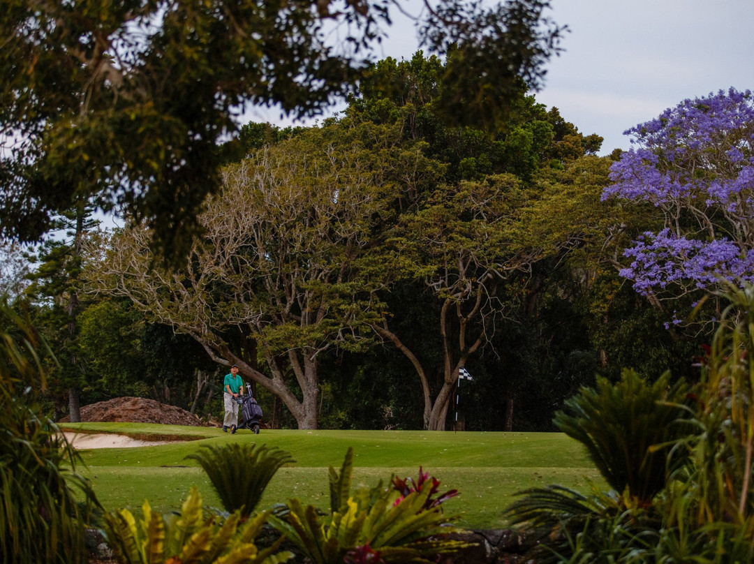 Ballina Golf and Sports Club景点图片